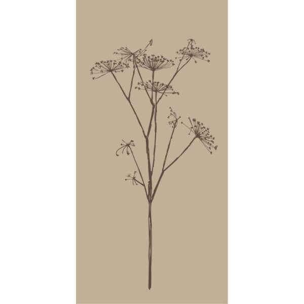 Pabersalvrätikud lillemustriga beež 40 × 40 cm, 16 tk.