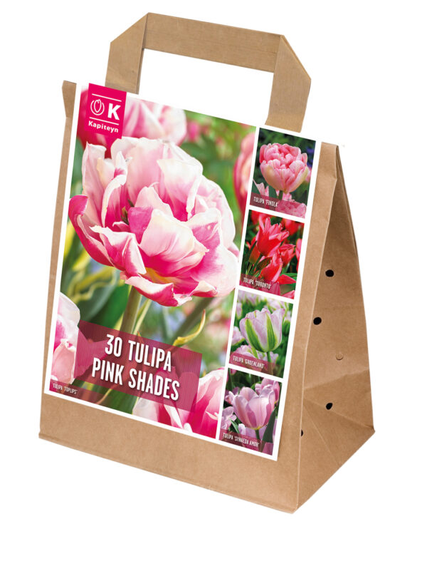 Tulp segupakend Roosad Toonid 30tk