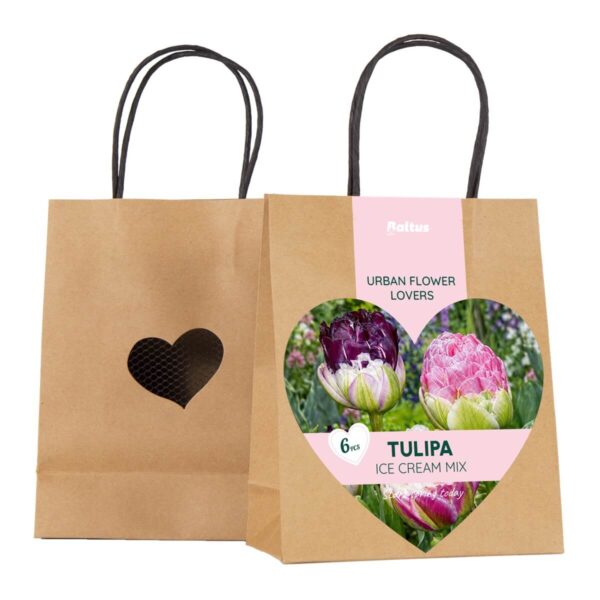 Tulp Ice Cream segu paberkotis 6tk