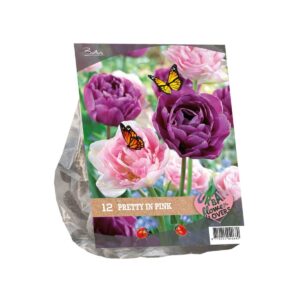 Tulp Urban Flowers – Pretty in Pink 12tk