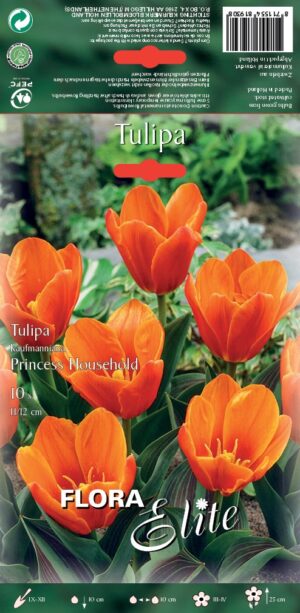 Tulp ‘Household’ 10tk