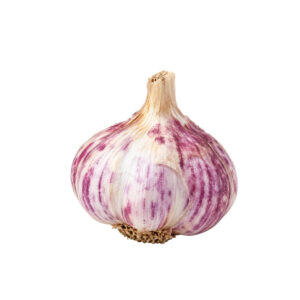 Taliküüslauk ‘Primor’ 250g