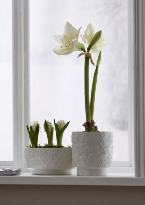 Lillepott Tindra Ø16x h16cm valge