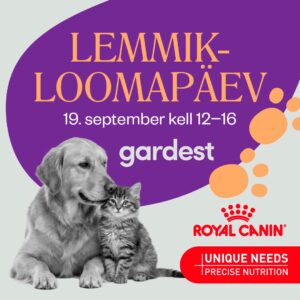 Koerte Match Show 19. september
