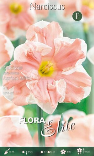 Nartsiss ‘Apricot Whirl’ 5tk