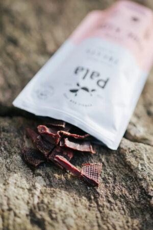 Pala maius koerale 100% seaneer 100g