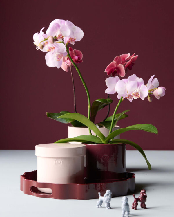 Lillepott Alicia L Ø19x h16cm burgundia