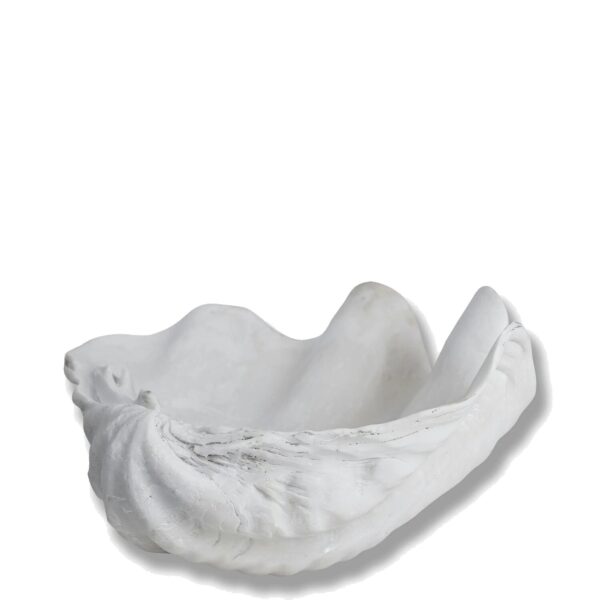 Dekoratiivkauss Shell valge 19x24x h12cm