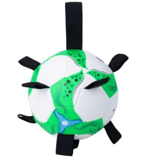 Pawise mänguasi koerale jalgpall aasadega M Ø18cm