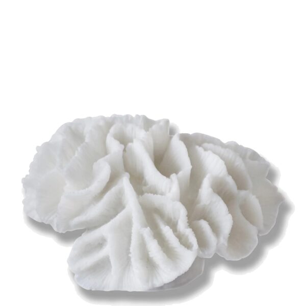 Dekoratsioon Coral valge 15x13,5x h10cm