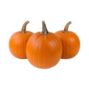Dekoratiivkõrvits ‘Halloween’ XXL 1tk