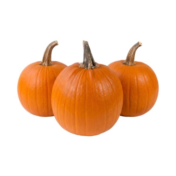 Dekoratiivkõrvits 'Halloween' XXL 1tk