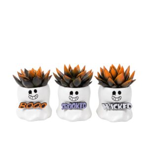 Soomuslehik P6 värvitud ümbrispotis Halloween