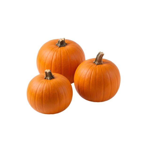 Dekoratiivkõrvits 'Halloween' keskmine 1tk