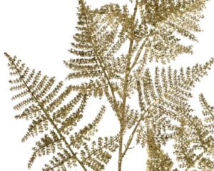Dekoratiivoks asparagus varrega kuldne sädelusega 87cm