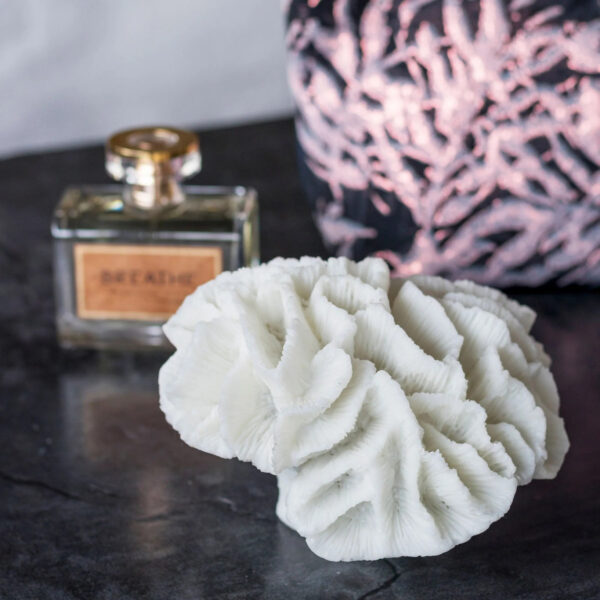 Dekoratsioon Coral valge 15x13,5x h10cm